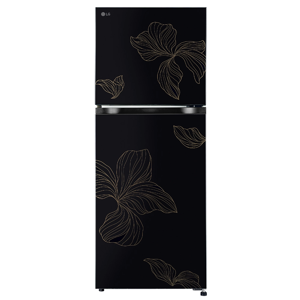 LG 238 Liter Double Door Refrigerator LG 238 Liter Double Door Refrigerator